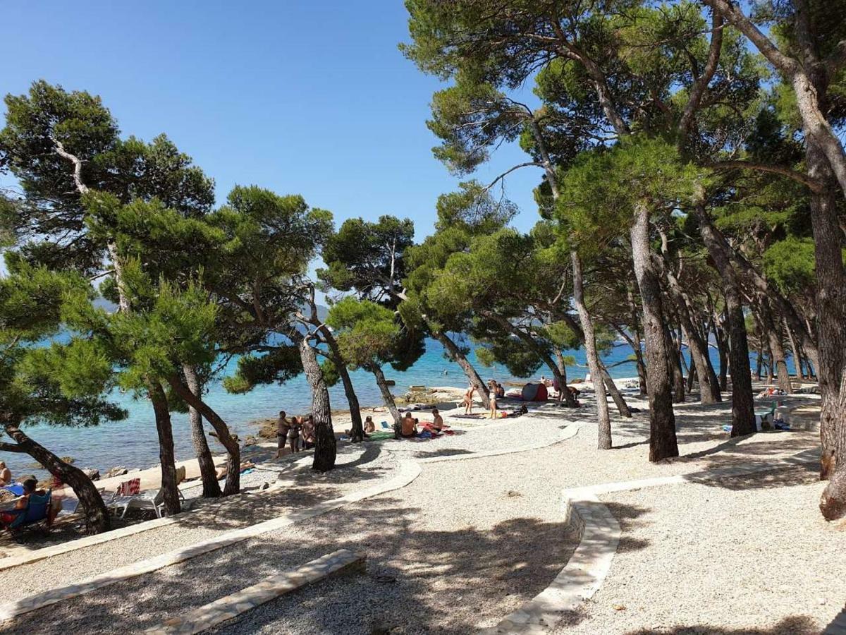 Mobile Starfish Iv Camp Biograd Kemp *